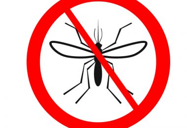 Outdoor Mosquito Repellant